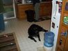 Filename=100_0150.JPG
Filesize=2233KiB
Dimensions=4000x3000
Date added=Jan 02, 2012 100_0150.JPG