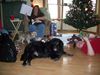 Filename=100_0160.JPG
Filesize=2504KiB
Dimensions=4000x3000
Date added=Jan 02, 2012 100_0160.JPG