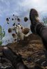 Filename=FinalFall-by-Bartman--Worth1000.jpg
Filesize=49KiB
Dimensions=500x722
Date added=Feb 12, 2008 FinalFall-by-Bartman--Worth1000.jpg