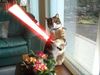 Filename=Sith_cat.jpg
Filesize=18KiB
Dimensions=300x225
Date added=Apr 07, 2008 Sith_cat.jpg